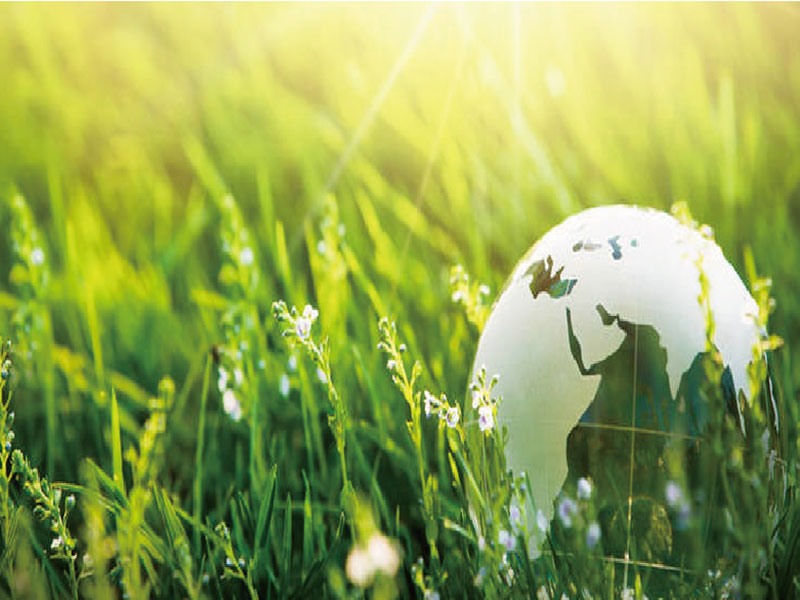 Environmental Friendly